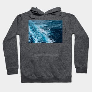 Ocean Life Hoodie